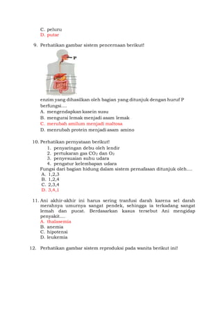 C. peluru
D. putar
9. Perhatikan gambar sistem pencernaan berikut!
enzim yang dihasilkan oleh bagian yang ditunjuk dengan huruf P
berfungsi....
A. mengendapkan kasein susu
B. mengurai lemak menjadi asam lemak
C. merubah amilum menjadi maltosa
D. menrubah protein menjadi asam amino
10. Perhatikan pernyataan berikut!
1. penyaringan debu oleh lendir
2. pertukaran gas CO2 dan O2
3. penyesuaian suhu udara
4. pengatur kelembapan udara
Fungsi dari bagian hidung dalam sistem pernafasan ditunjuk oleh....
A. 1,2,3
B. 1,2,4
C. 2,3,4
D. 3,4,1
11. Ani akhir-akhir ini harus sering tranfusi darah karena sel darah
merahnya umurnya sangat pendek, sehingga ia terkadang sangat
lemah dan pucat. Berdasarkan kasus tersebut Ani mengidap
penyakit....
A. thalasemia
B. anemia
C. hipotensi
D. leukemia
12. Perhatikan gambar sistem reproduksi pada wanita berikut ini!
 