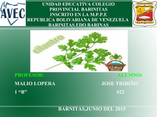 UNIDAD EDUCATIVA COLEGIO
PROVINCIAL BARINITAS
INSCRITO EN LA M.P.P.E
REPUBLICA BOLIVARIANA DE VENEZUELA
BARINITAS EDO BARINAS
PROFESOR: ALUMNO:
MALIO LOPERA JOSE TRIBIÑO
1 “B” #22
BARNITAS,JUNIO DEL 2015
 