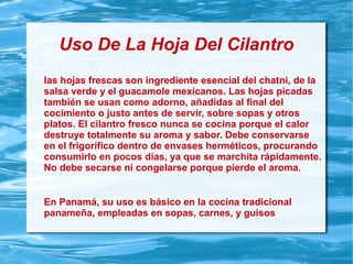 Uso De La Hoja Del Cilantro
las hojas frescas son ingrediente esencial del chatni, de la
salsa verde y el guacamole mexicanos. Las hojas picadas
también se usan como adorno, añadidas al final del
cocimiento o justo antes de servir, sobre sopas y otros
platos. El cilantro fresco nunca se cocina porque el calor
destruye totalmente su aroma y sabor. Debe conservarse
en el frigorífico dentro de envases herméticos, procurando
consumirlo en pocos días, ya que se marchita rápidamente.
No debe secarse ni congelarse porque pierde el aroma.
En Panamá, su uso es básico en la cocina tradicional
panameña, empleadas en sopas, carnes, y guisos
 
