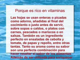 Porque es rico en vitaminas
Las hojas se usan enteras o picadas
como adorno, añadidas al final del
cocimiento o justo antes de servir,
sobre sopas o caldos, o platos con
carnes, pescados o mariscos o en
salsas. También es un ingrediente
perfecto en ensaladas de cebolla y
tomate, de papas y repollo, entre otras
tantas. Tanto su aroma como su sabor
son una perfecta combinación para
hacer resaltar el sabor de los alimentos.
Además de ser utilizada para enriquecer
 
