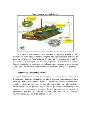 Figura1: esquema para o ciclo do cálcio.
Com a morte desses organismos, seus esqueletos se depositam no fundo do mar,
associam-se a outros tipos de resíduos e originam uma rocha sedimentar, depois de um
longo período de tempo. Esses sedimentos de fundo, rico em carbonato, participando do
ciclo tectônico, podem migrar para uma zona de pressão e temperatura mais elevadas,
fundindo parcialmente os carbonatos. As mudanças lentas e graduais da crosta terrestre
podem fazer com que essas rochas sedimentares alcancem a superfície, completando o
ciclo.
3. IMPACTOS DO USO DO CÁLCIO
O impacto negativo mais evidente em decorrência do uso de Ca em excesso é o
favorecimento à dispersão dos colóides do solo, já que entre muitos cátions, ele exibe
menor raio iônico; essa condição favorece a formação de um raio hidratado maior,
gerando o fenômeno dispersivo. A dispersão dos colóides do solo significa o
desencadeamento de um processo erosivo, uma vez que ocorre a desestruturação dos
agregados com o consequente preenchimento dos poros, principalmente os mesoporos e
micrósporos; com isso, as condições tornam-se mais favoráveis ao escoamento
superficial da água e ao arraste das partículas de solo.
 