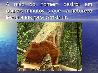 A mão do homem destrói em poucos minutos o que  a natureza levou anos para construir. 