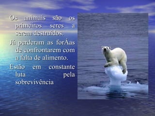 Os animais são os primeiros seres a serem destruídos. Já perderam as forças de confrontarem com a falta de alimento. Estão em constante luta pela sobrevivência   