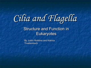 Cilia and FlagellaCilia and Flagella
Structure and Function inStructure and Function in
EukaryotesEukaryotes
By Justin Robbins and KatrinaBy Justin Robbins and Katrina
TruebenbachTruebenbach
 