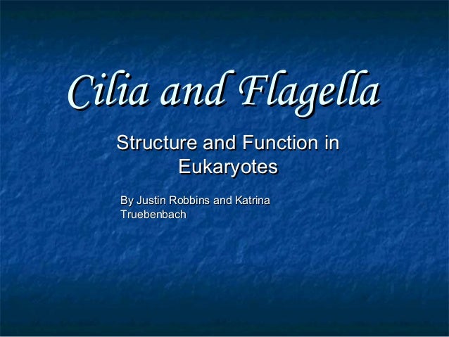 Flagella and cilia ppt to pdf