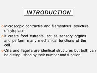 cilia_and_flagella.pptx _cell movement_cell | PPTX