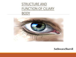 STRUCTURE AND
FUNCTION OF CILIARY
BODY
SathwaraSharvil
 