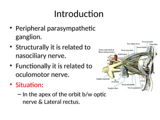 Ciliary Ganglion and its functions essay.ppt