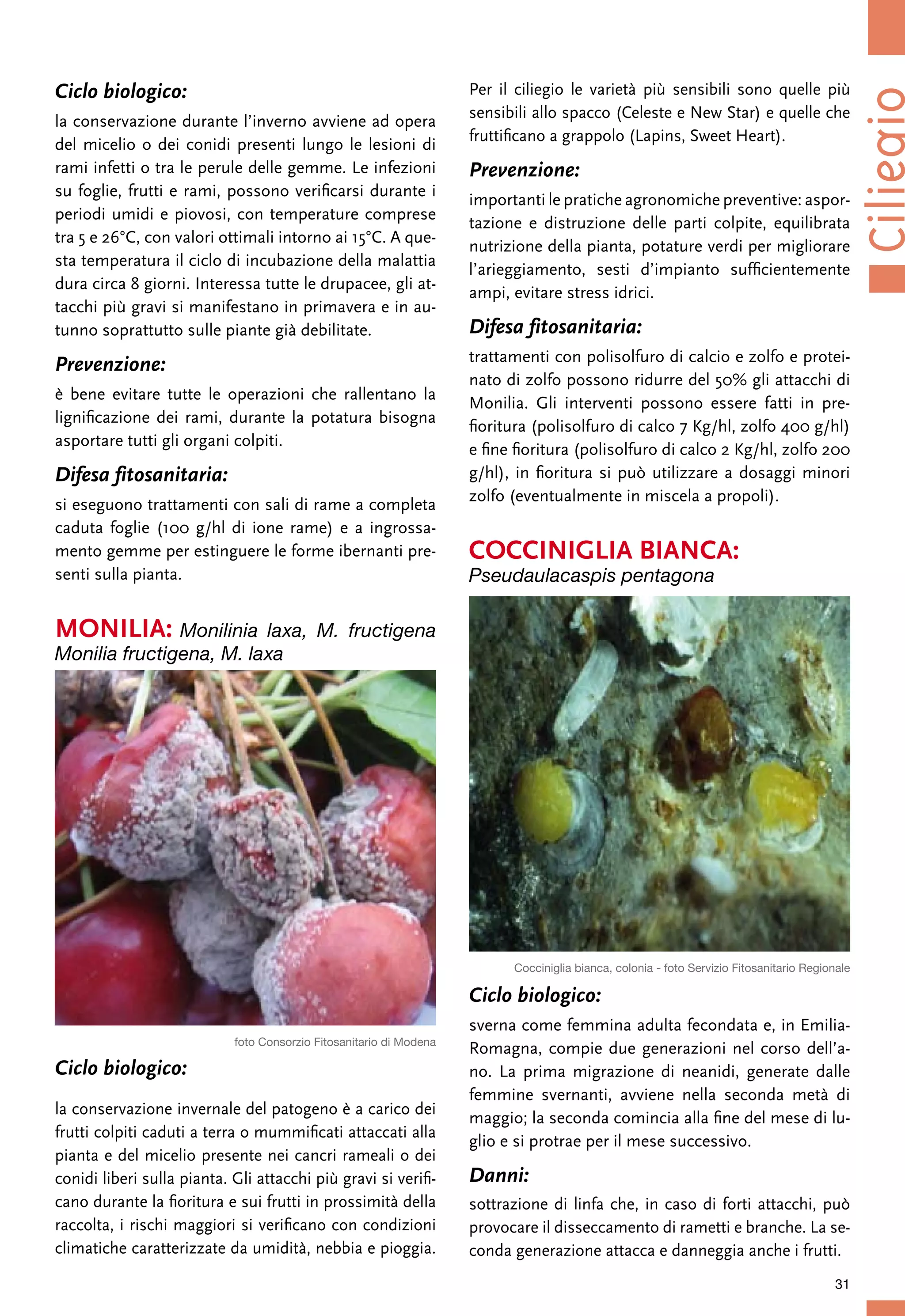 Ciliegio in Agricoltura Biologica | PDF