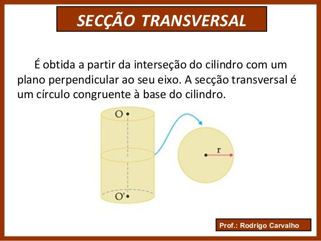 Anatomia Da Secao Transversal