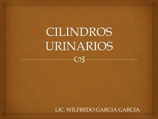 LIC. WILFREDO GARCIA GARCIA

 