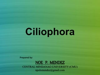 Ciliophora
Prepared by:
NOE P. MENDEZ
CENTRAL MINDANAO UNIVERSITY (CMU)
npolomendez@gmail.com
 