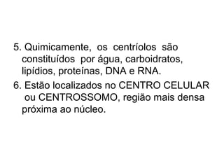 5. Quimicamente, os centríolos são
constituídos por água, carboidratos,
lipídios, proteínas, DNA e RNA.
6. Estão localizados no CENTRO CELULAR
ou CENTROSSOMO, região mais densa
próxima ao núcleo.

 