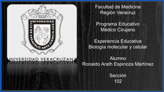 Facultad de Medicina
Región Veracruz
Programa Educativo
Médico Cirujano
Experiencia Educativa
Biología molecular y celular
Alumno
Ronaldo Arath Espinoza Martínez
Sección
102
 