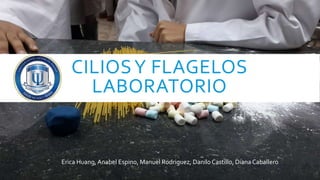 CILIOSY FLAGELOS
LABORATORIO
Erica Huang, Anabel Espino, Manuel Rodriguez, DaniloCastillo, DianaCaballero
 