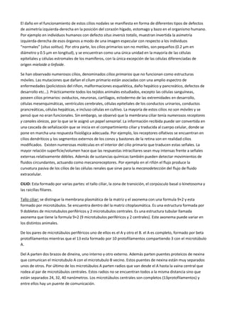Cilios Y Flagelos
