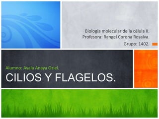 Biología molecular de la célula II.
                             Profesora: Rangel Corona Rosalva.
                                                 Grupo: 1402.



Alumno: Ayala Anaya Oziel.

CILIOS Y FLAGELOS.
 