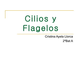 Cilios y Flagelos Cristina Ayela Llorca 2ºBat A 