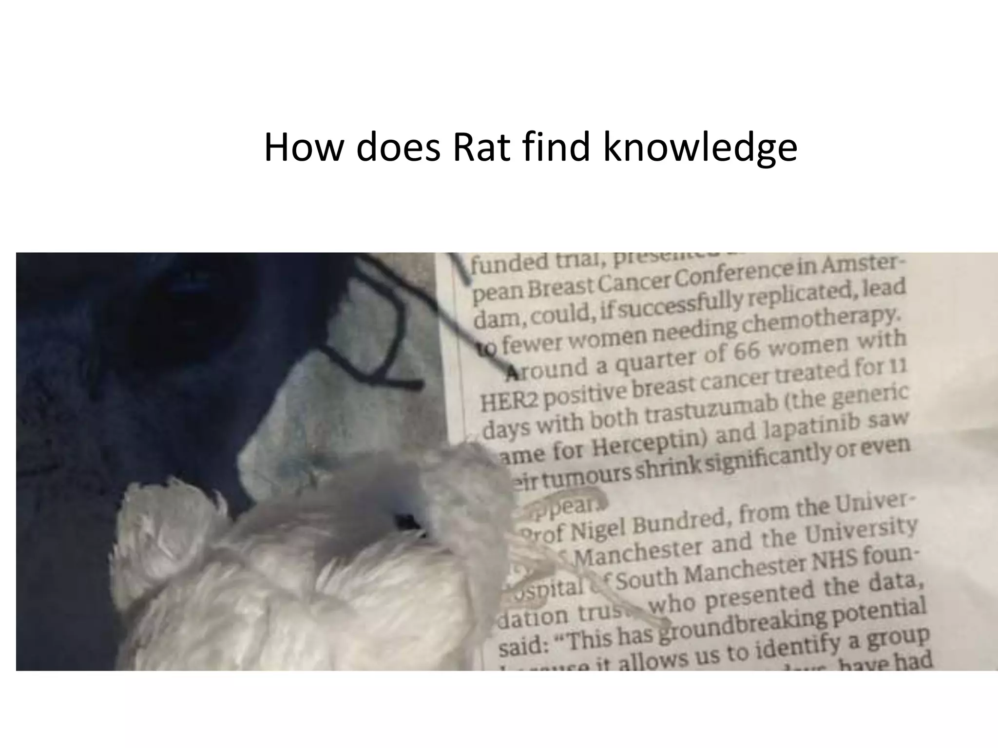 How does Rat find knowledge
 