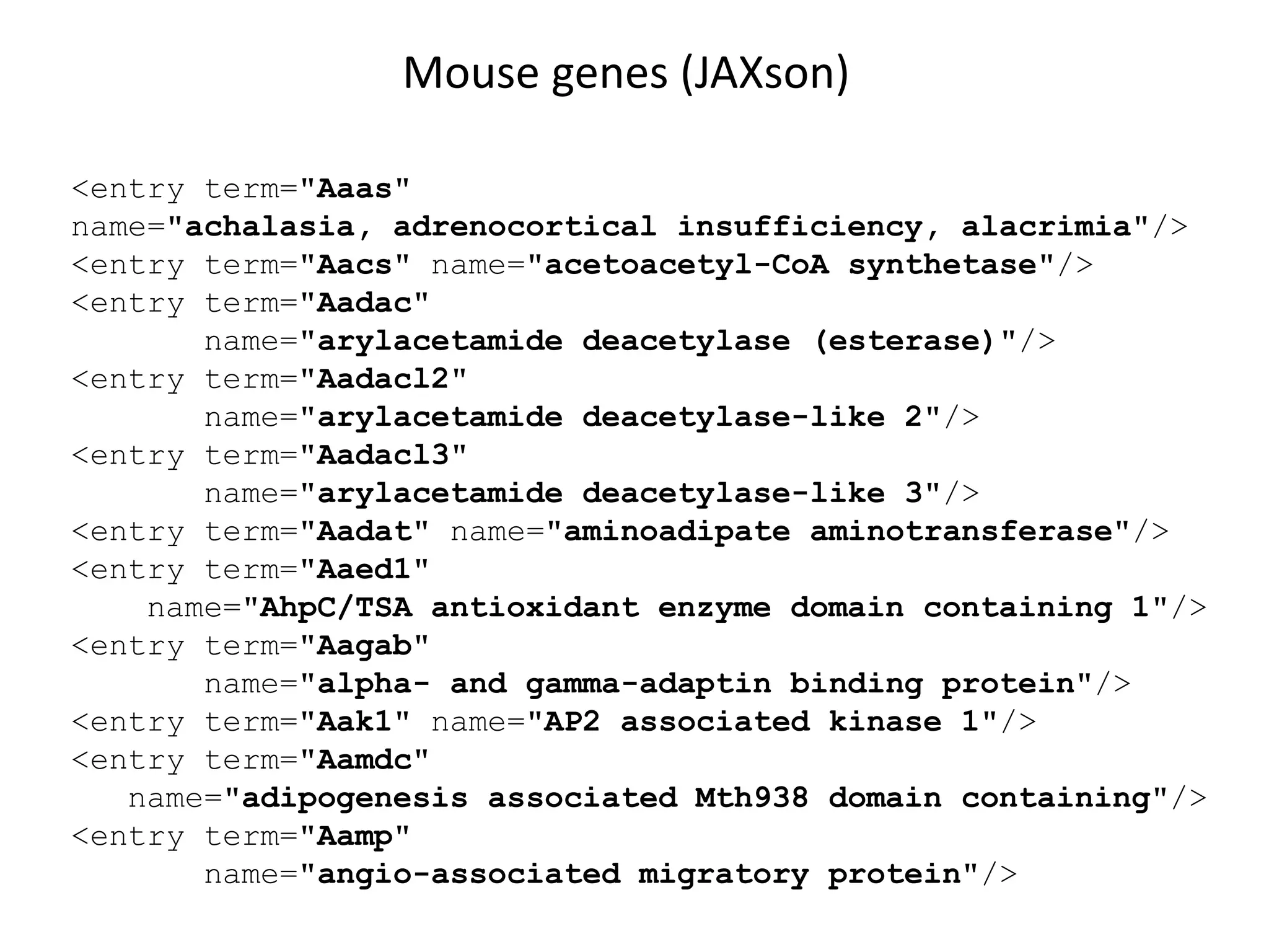 <entry term="Aaas"
name="achalasia, adrenocortical insufficiency, alacrimia"/>
<entry term="Aacs" name="acetoacetyl-CoA synthetase"/>
<entry term="Aadac"
name="arylacetamide deacetylase (esterase)"/>
<entry term="Aadacl2"
name="arylacetamide deacetylase-like 2"/>
<entry term="Aadacl3"
name="arylacetamide deacetylase-like 3"/>
<entry term="Aadat" name="aminoadipate aminotransferase"/>
<entry term="Aaed1"
name="AhpC/TSA antioxidant enzyme domain containing 1"/>
<entry term="Aagab"
name="alpha- and gamma-adaptin binding protein"/>
<entry term="Aak1" name="AP2 associated kinase 1"/>
<entry term="Aamdc"
name="adipogenesis associated Mth938 domain containing"/>
<entry term="Aamp"
name="angio-associated migratory protein"/>
Mouse genes (JAXson)
 