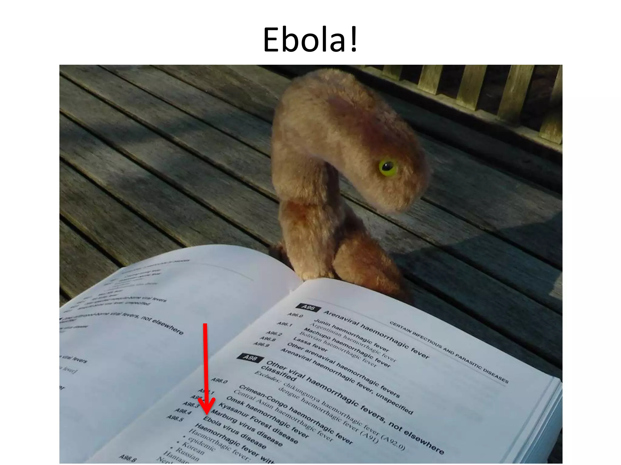 Ebola!
 