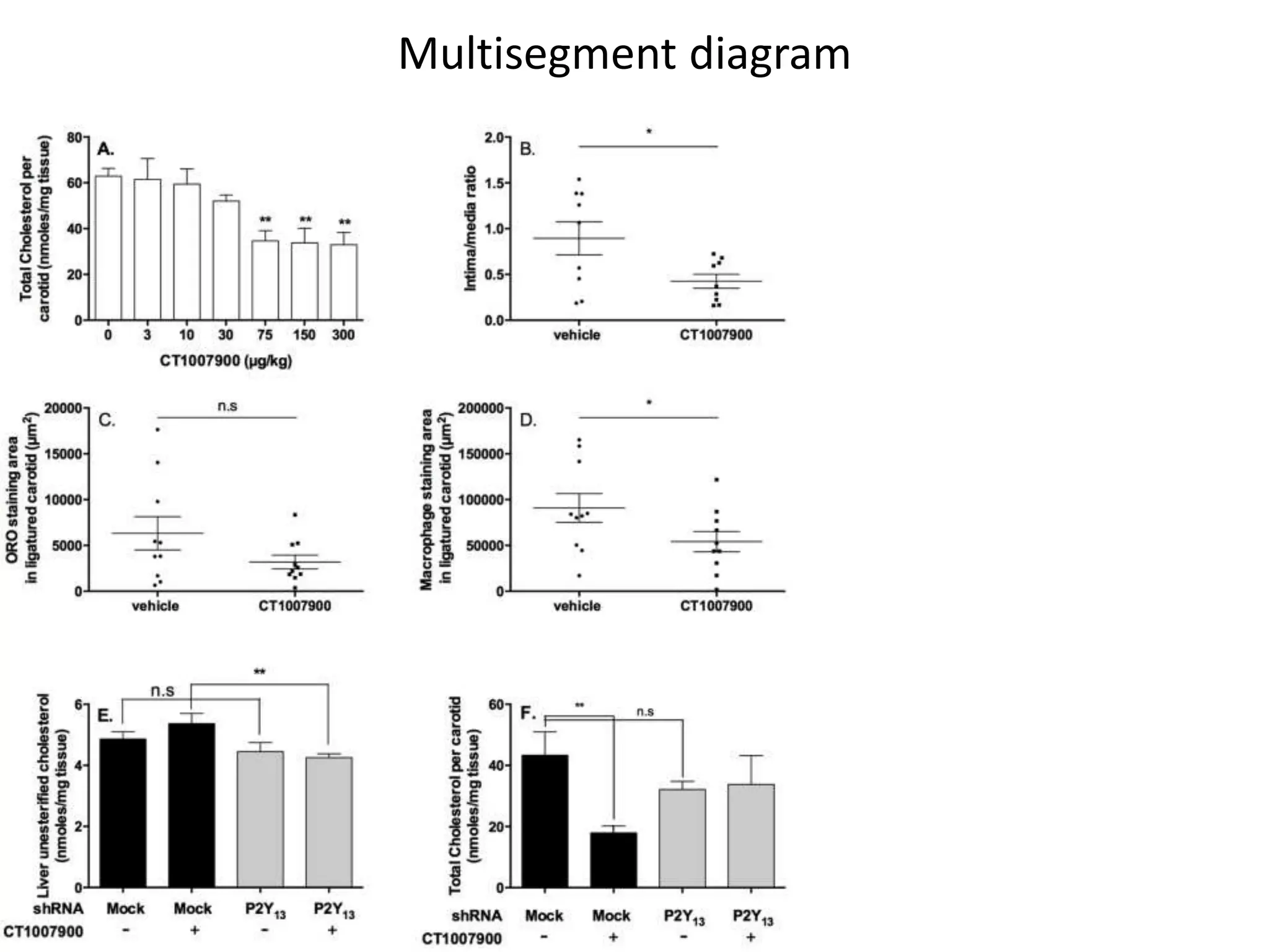 Multisegment diagram
 
