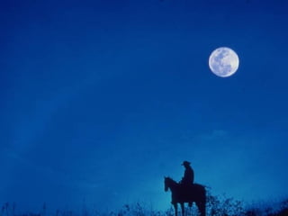 Librarians go wild http://flickr.com/photos/driek/514714536 / 