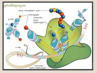 Cilis sintezi