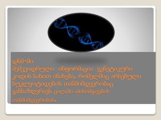 დნმ-ში
მემკვიდრული ინფორმაცია გენეტიკური
კოდის სახით ინახება, რომელშიც არსებული
ნუკლეოტიდების თანმიმდევრობაც
განსაზღვრავს ცილაში ამინომჟავების
თანმიმდევრობას.
 