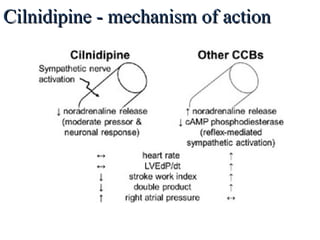Cilnidipine - mechanism of actionCilnidipine - mechanism of action
 