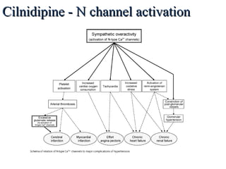 Cilnidipine - N channel activationCilnidipine - N channel activation
 