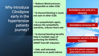 Why introduce
Cilnidipine
early in the
hypertensive
patients
journey?
• Reduces Blood pressure,
comparable to older CCBs
• N-channel blocking is novel,
not seen in other CCBs
• Is a sympatholytic agent,
reduces the sympathetic
overdrive, reduces Heart rate
• N-channel blocking benefits
help in multiple ways of
protecting the KIDNEYS,
APART from BP reduction
• Safe, well tolerated,
minimal-to-no pedal edema
Amlodipine increases HR
Amlodipine acts only on L-
channels
Amlodipine worsens kidney
function
Up to 35% patients experience
pedal edema with amlodipine
 