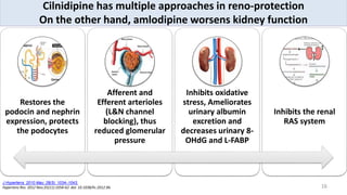 16
Restores the
podocin and nephrin
expression, protects
the podocytes
Afferent and
Efferent arterioles
(L&N channel
blocking), thus
reduced glomerular
pressure
Inhibits oxidative
stress, Ameliorates
urinary albumin
excretion and
decreases urinary 8-
OHdG and L-FABP
Inhibits the renal
RAS system
Cilnidipine has multiple approaches in reno-protection
On the other hand, amlodipine worsens kidney function
J Hypertens. 2010 May; 28(5): 1034–1043.
Hypertens Res. 2012 Nov;35(11):1058-62. doi: 10.1038/hr.2012.96.
 
