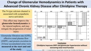 Change of Glomerular Hemodynamics in Patients with
Advanced Chronic Kidney Disease after Cilnidipine Therapy
The N-type calcium channel is
associated with sympathetic
nerve activation
This effect may improve the
glomerular hemodynamics in
the injured nephron, and may
mitigate the progression of renal
injury
Glomerular filtration rate (GFR),
effective renal plasma flow
(ERPF), and protein excretion in
24-hour accumulated urine were
measured at the start and end
of the study.
Systolic blood pressure 
from 80 % from baseline
ERPF  to 127 % of the level
at baseline
Glomerular capillary
pressure on single nephron
was  to 90 %
Renal vascular resistance
ratio (RA/RE) on single
nephron improved to 120 %
Total GFR  within the non-
statistical range
Conclusion
Cilnidipine improves ERPF and glomerular hypertension without
worsening total renal function
The Open Clinical Chemistry Journal, 2009, 2: 31-36 Atsushi Satomura, Takayuki Fujita, Yoshinobu Fuke, Yuki Wada, Koichi Matsumoto
 