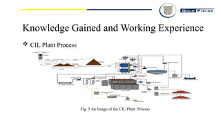 Carbon in leach plant presentation252544.pptx