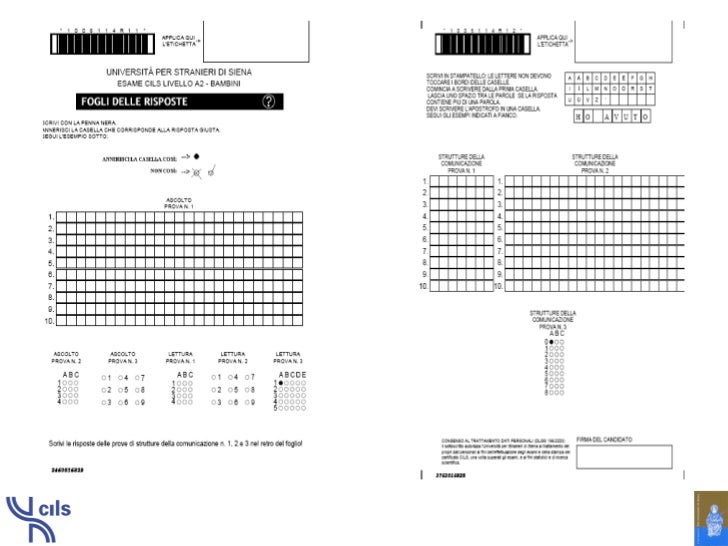 CILS - 2. Livelli e prove