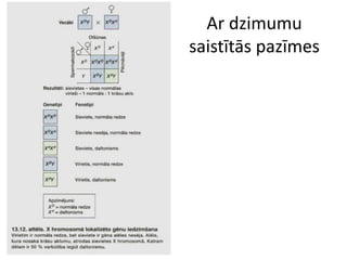 Ar dzimumu
saistītās pazīmes
 