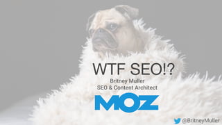 Britney Muller
SEO & Content Architect
WTF SEO!?
@BritneyMuller
 