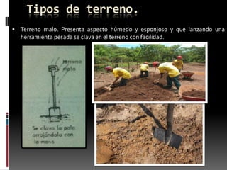 Tipos de terreno.
 Terreno malo. Presenta aspecto húmedo y esponjoso y que lanzando una

herramienta pesada se clava en el terreno con facilidad.

 