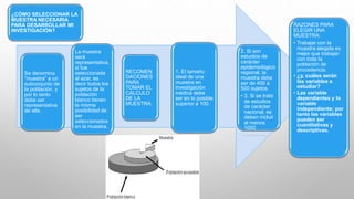¿CÓMO SELECCIONAR LA
MUESTRA NECESARIA
PARA DESARROLLAR MI
INVESTIGACIÓN?
Se denomina
“muestra” a un
subconjunto de
la población, y
por lo tanto
debe ser
representativa
de ella.
La muestra
será
representativa,
si fue
seleccionada
al azar, es
decir todos los
sujetos de la
población
blanco tienen
la misma
posibilidad de
ser
seleccionados
en la muestra.
RECOMEN
DACIONES
PARA
TOMAR EL
CALCULO
DE LA
MUESTRA:
1. El tamaño
ideal de una
muestra en
investigación
médica debe
ser en lo posible
superior a 100.
2. Si son
estudios de
carácter
epidemiológico
regional, la
muestra debe
ser de 400 a
500 sujetos.
• 3. Si se trata
de estudios
de carácter
nacional, se
deben incluir
al menos
1000
individuos.
RAZONES PARA
ELEGIR UNA
MUESTRA:
• Trabajar con la
muestra elegida es
mejor que trabajar
con toda la
población de
procedencia.
• ¿y, cuáles serán
las variables a
estudiar?
• Las variable
dependientes y la
variable
independiente; por
tanto las variables
pueden ser
cuantitativas y
descriptivas.
 