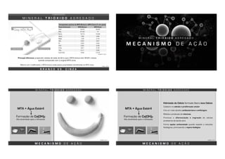 C O M P O S I Ç Ã O
M I N E R A L T R I Ó X I D O A G R E G A D O
B R A N C O V S . C I N Z A
ROBERTS, 2007
Principal diferença: proporção relativa de óxido de ferro que o MTA branco tem 90,8% menos
quando comparado com o original MTA cinza.
Mesmo com modificações, o MTA branco ainda possui propriedades semelhantes ao MTA cinza.
Composição química do MTA Branco e MTA Cinza (% em peso)
Fases Cerâmicas MTA Branco MTA Cinza
CaO 44,23 40,45
SiO2 21,20 17
Bi2O3 16,13 15,90
Al203 1,92 4,26
MgO 1,35 3,10
SO3 0,53 0,51
Cl 0,43 0,43
FeO 0,40 4,39
P2O5 0,21 0,18
TiO2 0,11 0,06
H2O+CO2 4,49 13,72
TAWIL, 2015
M E C A N I S M O D E A Ç Ã O
M I N E R A L T R I Ó X I D O A G R E G A D O
M E C A N I S M O D E A Ç Ã O
M I N E R A L T R I Ó X I D O A G R E G A D O
MTA + Água Estéril
Formação de Ca(OH)2
Alta alcalinidade após a hidratação
TORRES, 2013
M E C A N I S M O D E A Ç Ã O
Colabora na adesão e proliferação celular
Cria um meio alcalino antibacteriano e antifúngico
Modula a produção de citocinas
Promove a diferenciação e migração de células
produtoras de tecido duro
Forma apatia carbonatada quando exposto a soluções
fisiológicas, promovendo o reparo biológico
M I N E R A L T R I Ó X I D O A G R E G A D O
MTA + Água Estéril
Formação de Ca(OH)2
Alta alcalinidade após a hidratação
Hidróxido de Cálcio formado libera íons Cálcio:
TORRES, 2013
 