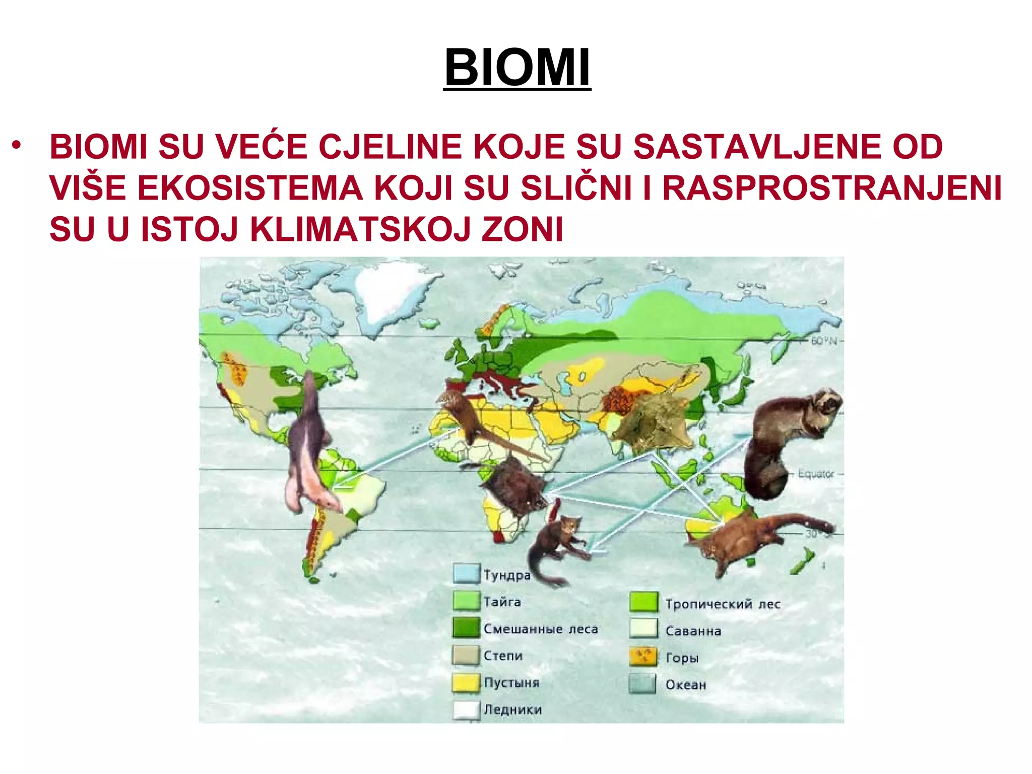 ime-se-bave-ekolozi-ppt-science