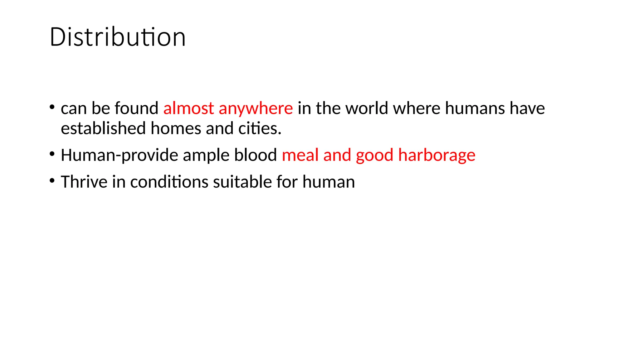 Cimex lectularius common bed bugggg.pptx