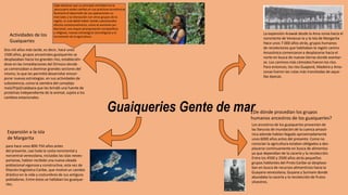 Guaiqueries Gente de mar
La expansión Arawak desde la Ama-zonia hacia el
nororiente de Venezue-la y la Isla de Margarita
Hace unos 7.000 años atrás, grupos humanos
de recolectores que habitaban la región centro
Amazónica comenzaron a desplazarse hacia el
norte en busca de nuevas tierras donde asentar-
se. Los caminos más cómodos fueron los ríos.
Para entonces, los ríos Guaporé, Madeira y Ama-
zonas fueron las rutas más transitadas de aque-
llas épocas.
Los ancestros de los guaiqueríes provenían de
las llanuras de inundación de la cuenca amazó-
nica adonde habían llegado aproximadamente
unos 6000 años antes del presente. Como no
conocían la agricultura estaban obligados a des-
plazarse continuamente en busca de alimentos
ya que dependían de la cacería y la recolección.
Entre los 4500 y 3500 años atrás pequeños
grupos hablantes del Proto Caribe se desplaza-
ban en busca de recursos alimenticios hacia la
Guayana venezolana, Guyana y Surinam donde
abundaba la cacería y la recolección de frutos
silvestres.
¿De dónde procedían los grupos
humanos ancestros de los guaiqueríes?
Dos mil años más tarde, es decir, hace unos
1500 años, grupos ancestrales guaiqueríes se
desplazaban hacia los grandes ríos, establecién-
dose en las inmediaciones del Orinoco donde
ya comenzaban a dominar grandes sectores del
mismo, lo que les permitió desarrollar eincor-
porar nuevas estrategias. en sus actividades de
subsistencia, como la siembra del complejo
maíz/frijol/calabaza que les brindó una fuente de
proteínas independiente de la animal, sujeta a los
cambios estacionales.
Actividades de los
Guaiqueries
Cabe destacar que su principal actividad era la
pesca pero estee cambio en sus prácticas económicas
favoreció el desarrollo de sus operaciones co-
merciales y la interacción con otros grupos de la
región, lo cual debió haber tenido substanciales
efectos socioeconómicos, como el aumento po-
blacional, una mayor jerarquización sociopolítica
y religiosa, nuevas estrategj'as tecnológicas y el
incremento de la agricultura.
Expansión a la isla
de Margarita
para hace unos 800-750 años antes
del presente, casi toda la costa nororiental y
norcentral venezolana, incluidas las islas neoes-
partanas, habían recibido una nueva oleada
poblacional vigorosa y constructiva, esta vez de
filiación lingüística Caribe, que motivó un cambio
drástico en la vida y costumbres de sus antiguos
pobladores. Entre éstos se hallaban los guaique-
ríes.
 