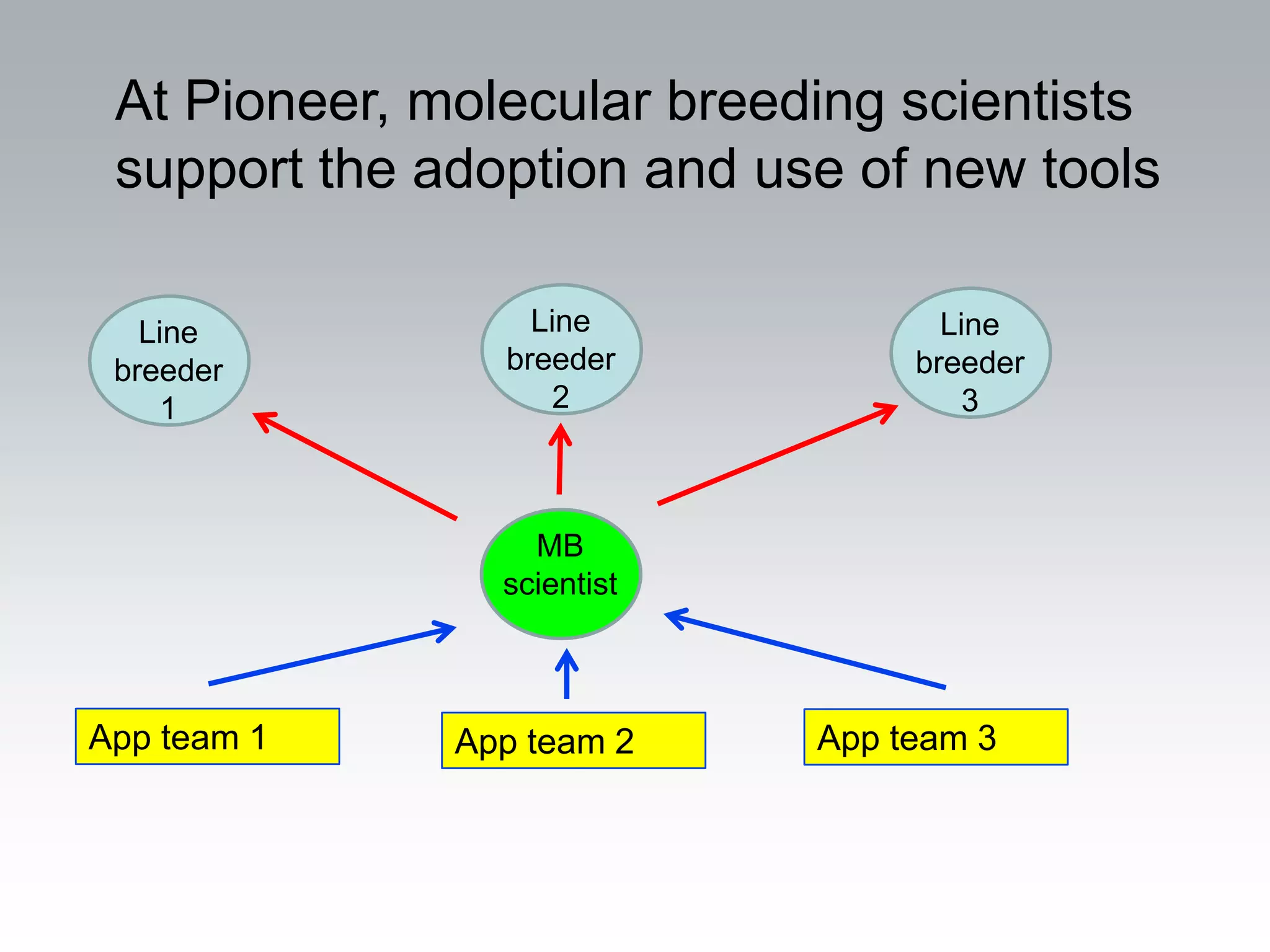 At Pioneer, molecular breeding scientists
 support the adoption and use of new tools

   Line           Line             Line
 breeder        breeder          breeder
     1              2                3



                  MB
                scientist



App team 1    App team 2    App team 3
 
