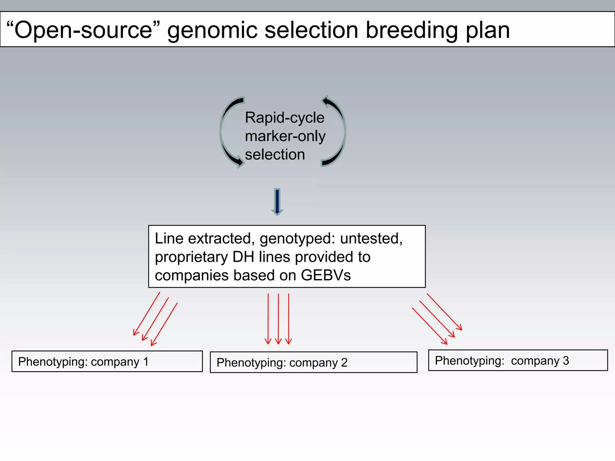 “Open-source” genomic selection breeding plan


                                       Rapid-cycle
                                       marker-only
                                       selection




                          Line extracted, genotyped: untested,
                          proprietary DH lines provided to
                          companies based on GEBVs




 Phenotyping: company 1           Phenotyping: company 2         Phenotyping: company 3
 