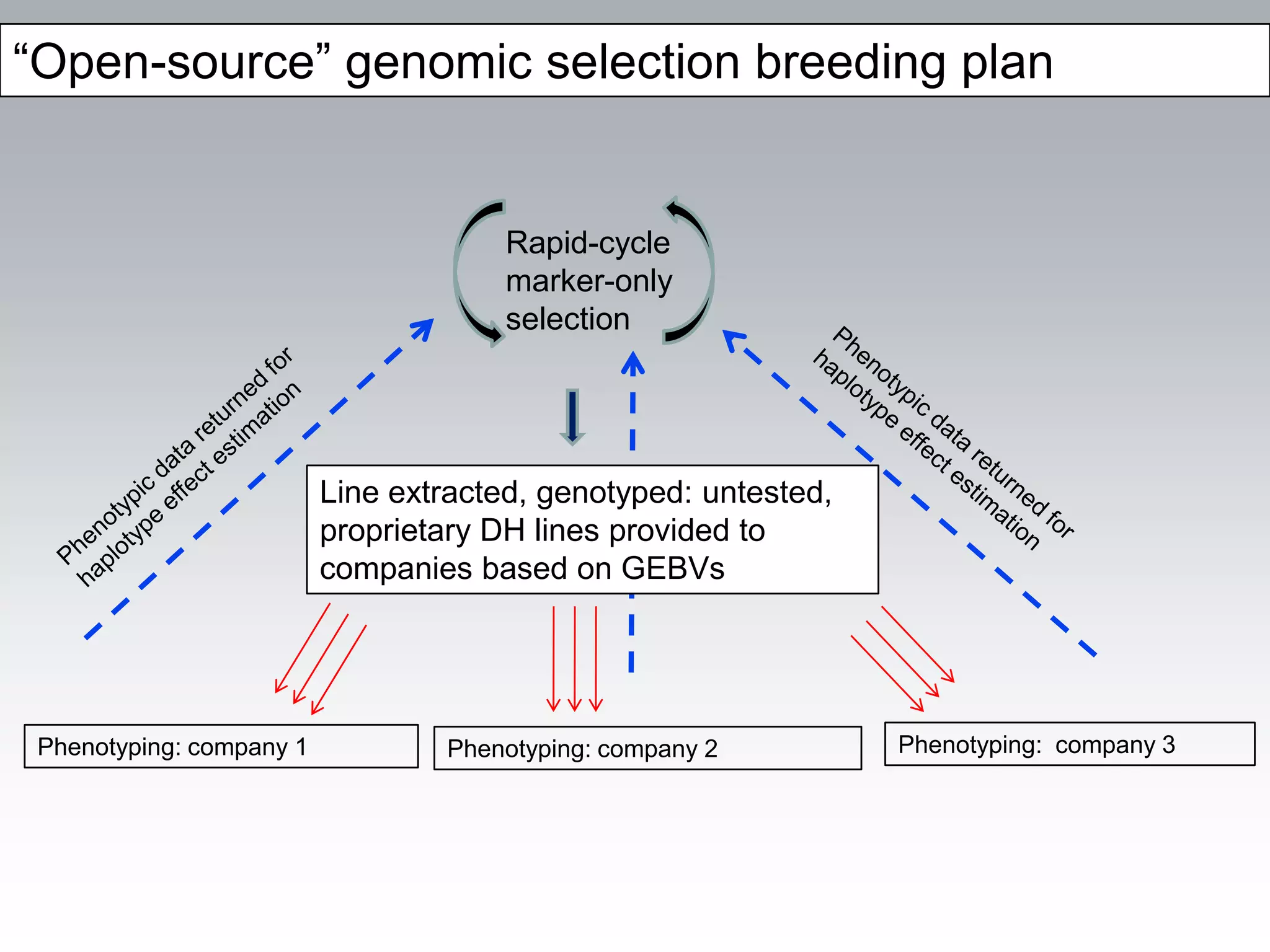 “Open-source” genomic selection breeding plan


                                       Rapid-cycle
                                       marker-only
                                       selection




                          Line extracted, genotyped: untested,
                          proprietary DH lines provided to
                          companies based on GEBVs




 Phenotyping: company 1           Phenotyping: company 2         Phenotyping: company 3
 