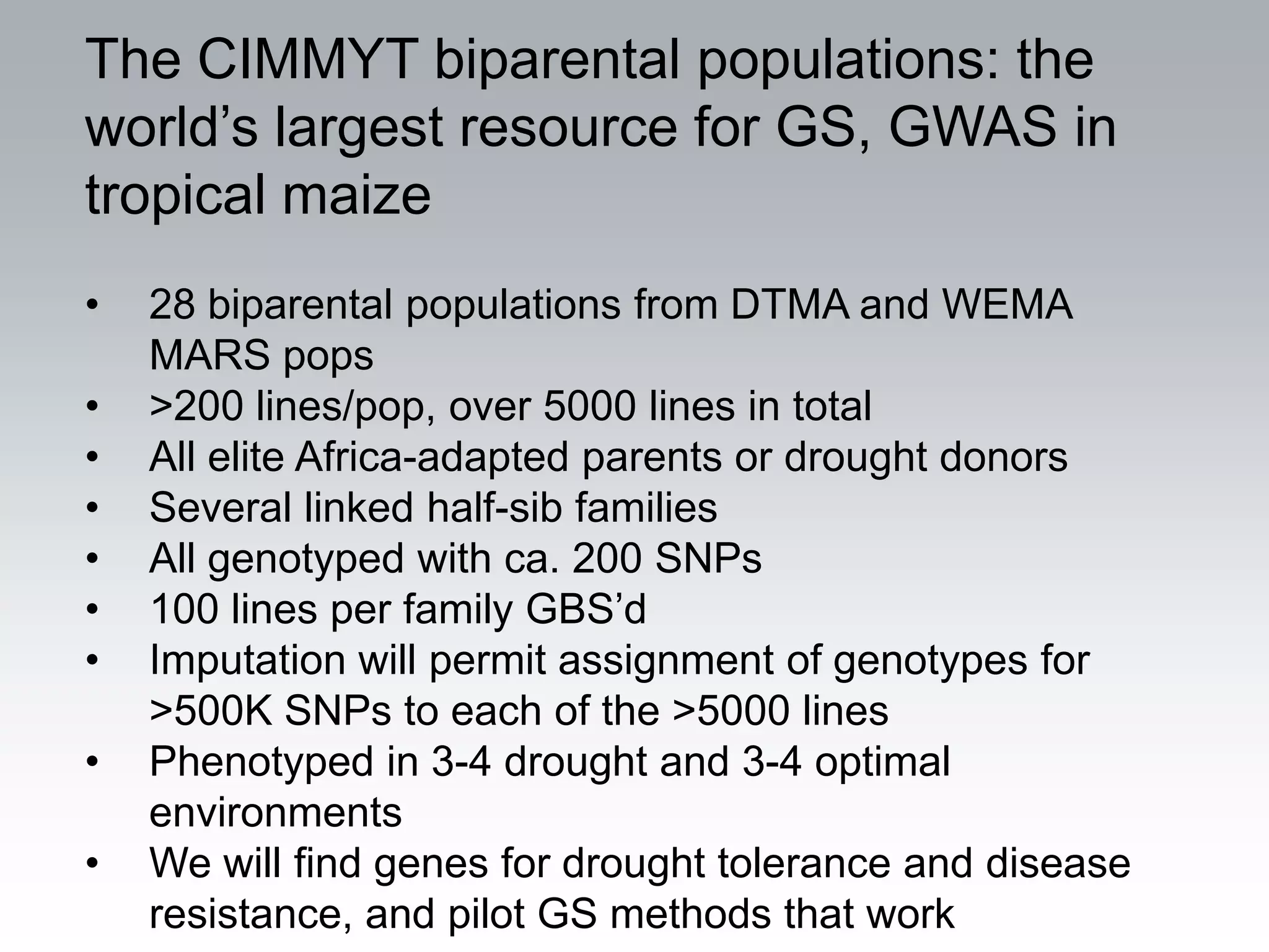 The CIMMYT biparental populations: the
world’s largest resource for GS, GWAS in
tropical maize
•   28 biparental populations from DTMA and WEMA
    MARS pops
•   >200 lines/pop, over 5000 lines in total
•   All elite Africa-adapted parents or drought donors
•   Several linked half-sib families
•   All genotyped with ca. 200 SNPs
•   100 lines per family GBS’d
•   Imputation will permit assignment of genotypes for
    >500K SNPs to each of the >5000 lines
•   Phenotyped in 3-4 drought and 3-4 optimal
    environments
•   We will find genes for drought tolerance and disease
    resistance, and pilot GS methods that work
 