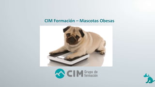 CIM Formación – Mascotas Obesas
 