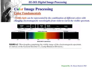 EE-583: Digital Image Processing
Prepared By: Dr. Hasan Demirel, PhD
Color Image Processing
Color Fundamentals
• Visible light can be represented by the combination of different colors with
changing electromagnetic wavelengths from violet to red in the visible spectrum.
 